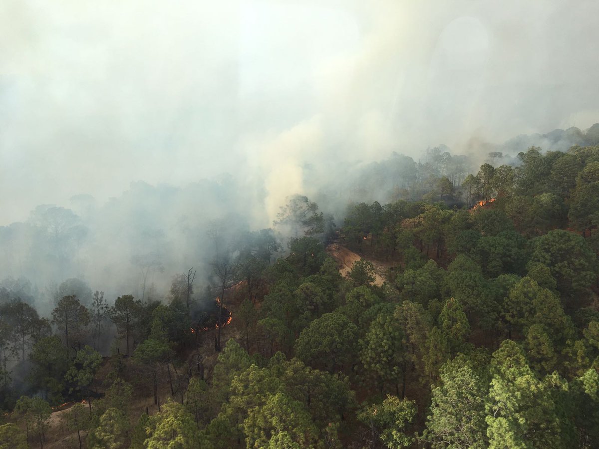 Controlan incendio forestal en Valle de Bravo; hay 8 hectáreas ... - Noticieros Televisa