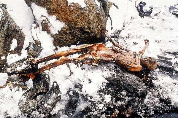 Identifican descendientes vivos de Ötzi