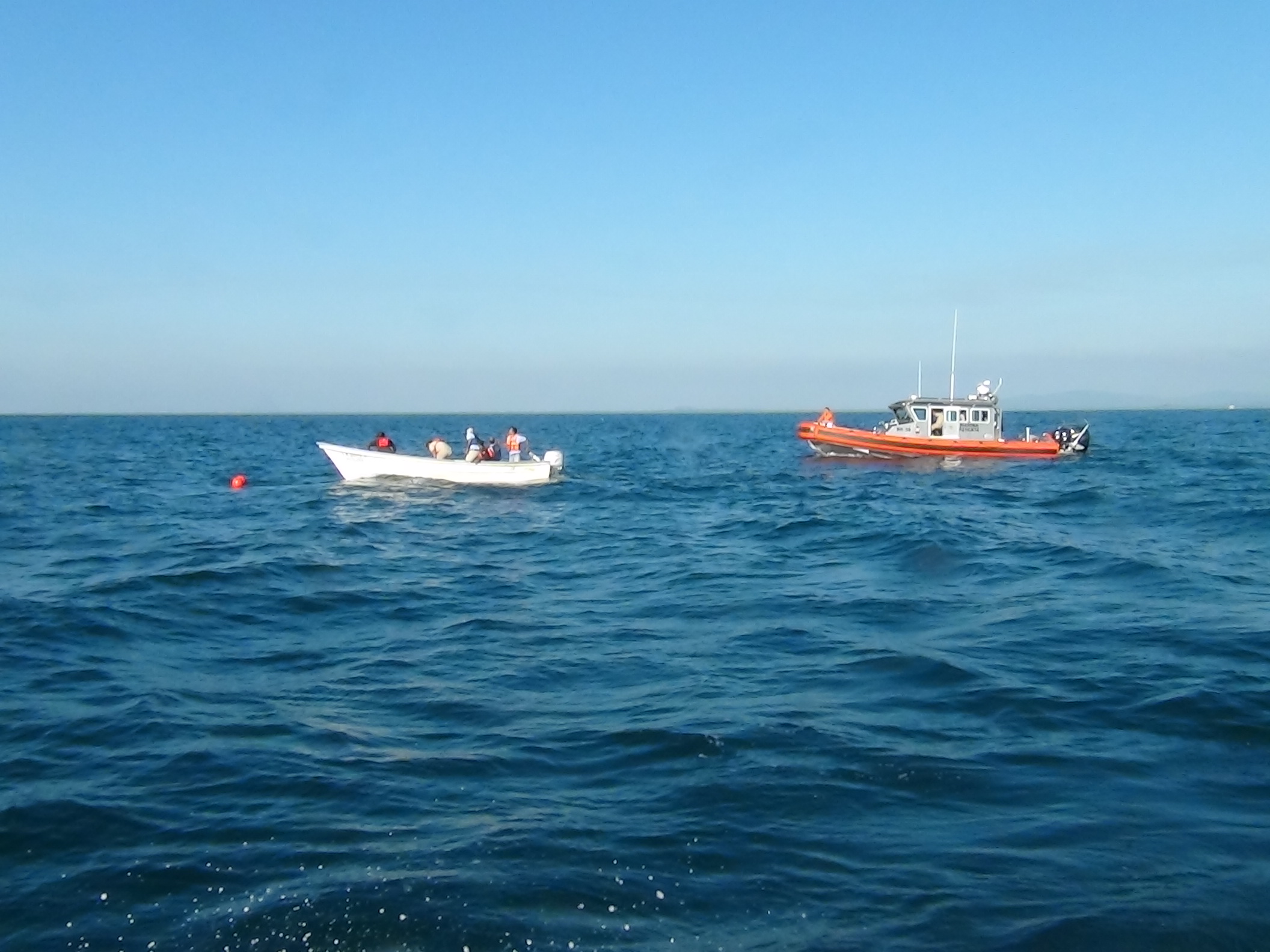 Marinos liberan a ballena atrapada en redes de pesca en Nayarit