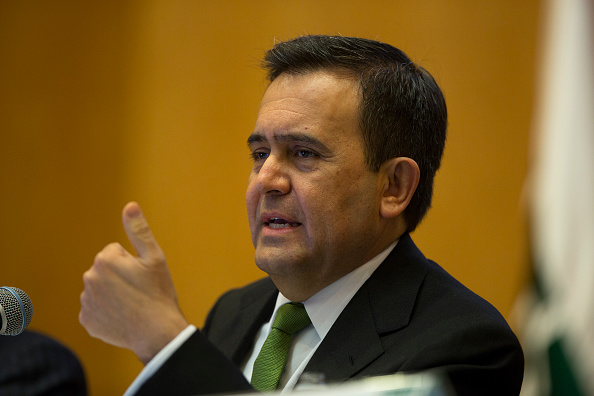 Ildefonso Guajardo Villarreal, secretario de Economía (Getty Images)