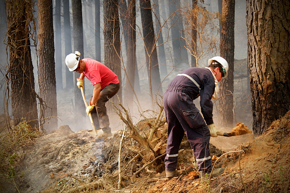 El fuego arrasó con cerca de 400 mil hectáreas forestales desde las regiones de Coquimbo hasta La Araucanía. (Getty Images, archivo)