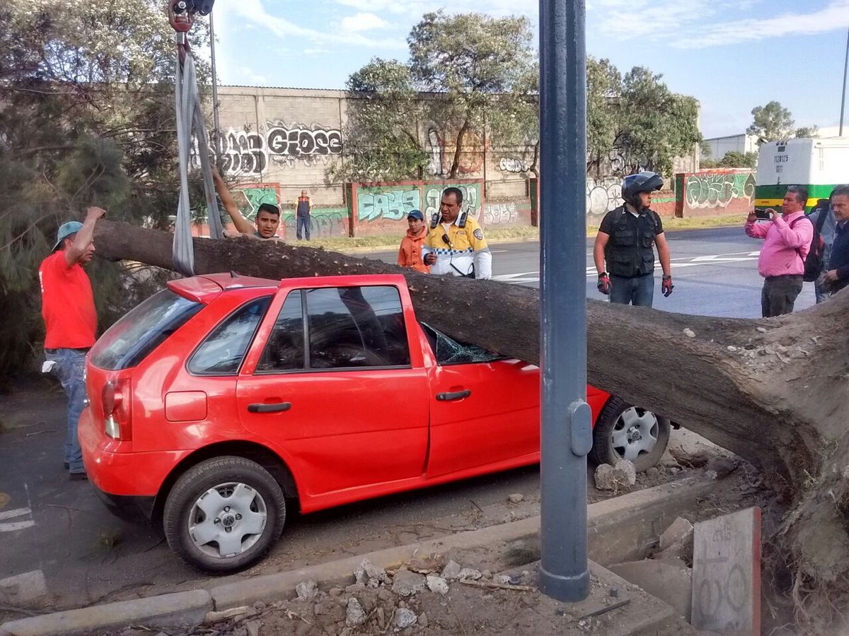 En el Eje 6 Sur y Río Churubusco, un árbol de 20 metros de altura cayó sobre un automóvil. (Twitter: @AGUCDMX)