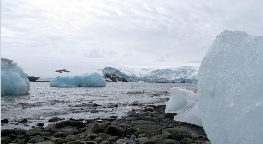 Bloques de hielo en la costa de la Base de Carlini de Argentina, frente al glaciar Fourcade en la Antártida. (Reuters, archivo)
