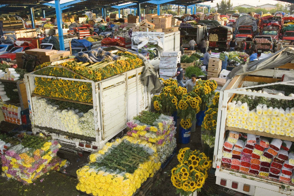 Decenas de comerciantes de flores se reúnen en la Central de Abastos de la Ciudad de México; inician una venta nocturna con motivo del Día de San Valentín