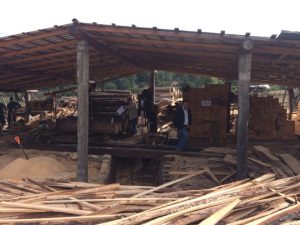 La Profepa clausura CATs en Michoacán; las autoridades hallaron madera ilícita en las instalaciones