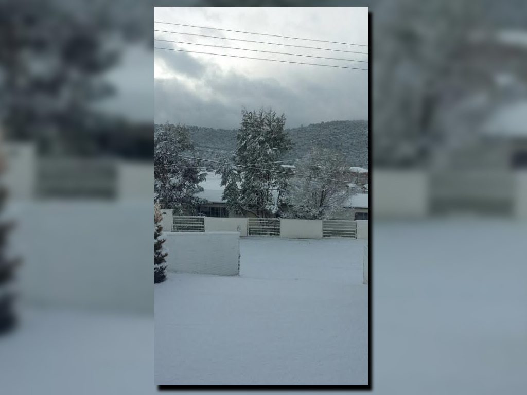 Un amanecer nevado en Madera, Chihuahua; autoridades de la Segob terminan la emergencia en 10 municipios afectados por nevadas severas en la entidad (Twitter @letytresa, archivo)