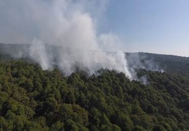 Personal de varias instituciones en Morelos controla un incendio en el Parque Ecoturístico San Lorenzo de Chamilpa en Cuernavaca (Noticieros Televisa)