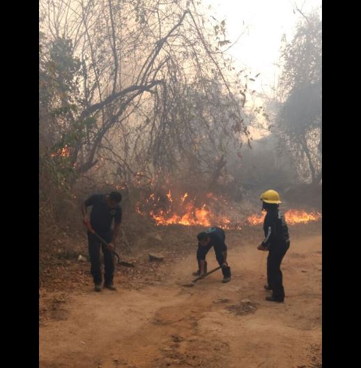 Sofocan incendio en Parque Nacional El Veladero, en Acapulco, Guerrero