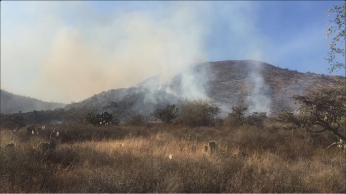 Incendio en Mexquitic de Carmona, San Luis Potosí; el incidente afecta varias hectáreas de pastizales