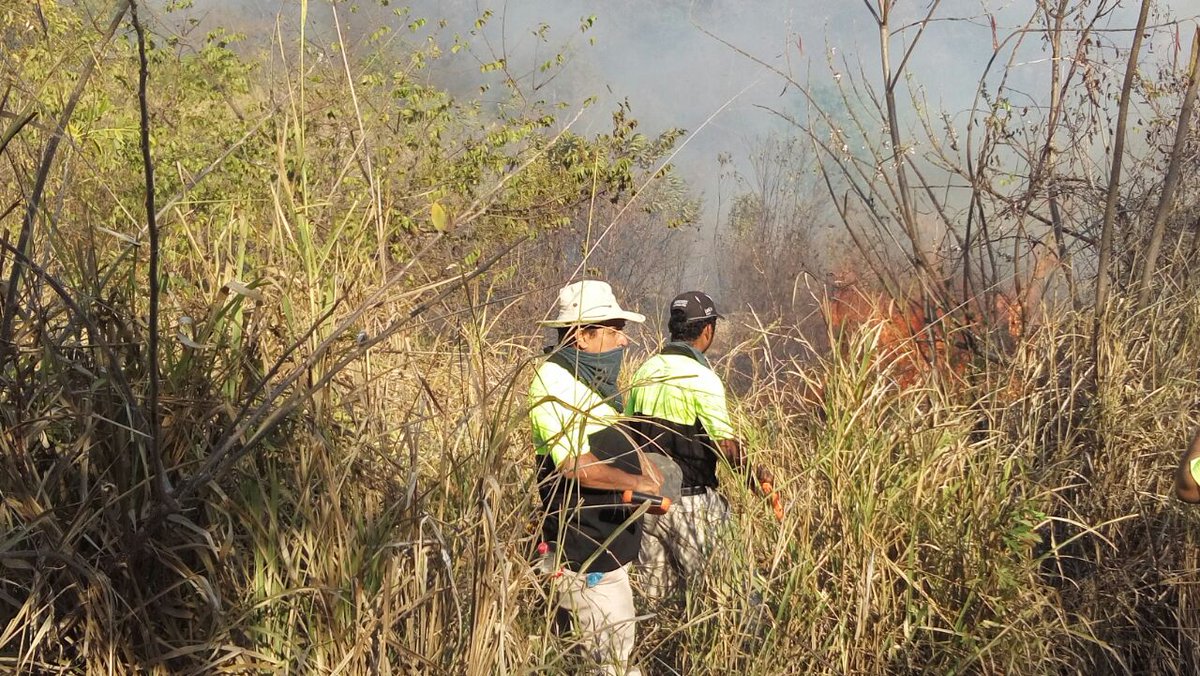 El incendio forestal devastó la flora y fauna de el Parque Nacional El Veladero