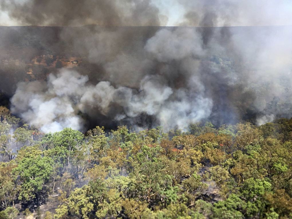 Uno de los incendios forestales que arden en N esta foto proporcionada por el servicio de bomberos rural de Nueva Gales del Sur humean olas de un incendio forestal ardiendo cerca de Mudgee, Australia. (AP)