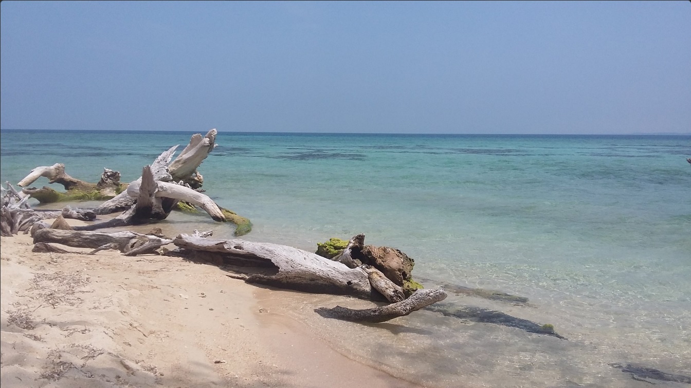 Playa de la Isla de Enmedio, ubicada frente a Antón Lizardo, Veracruz; la zona cuenta con arenas blancas y aguas color turquesa (Twitter @pokymeteor)
