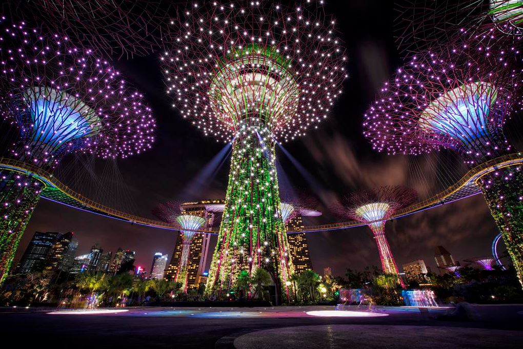 'Súper árboles' de energía solar del Jardín Botánico de Singapur. (Twitter@rcnmundo)