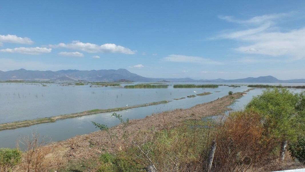 El Lago de Cuitzeo se ubica a 300 kilómetros de la Ciudad de México. (Sistema Michoacano de Radio y Televisión, archivo)
