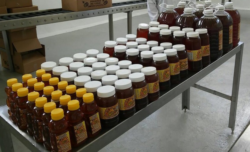 Los apicultores campechanos esperan exportar entre 2 mil toneladas de miel a Arabia Saudita y 4 mil toneladas más a diversos países de Europa.