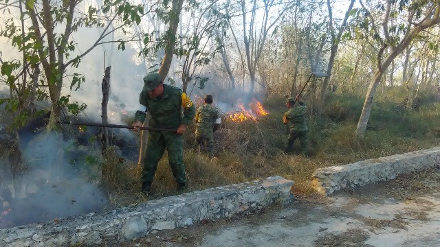 Militares combaten incendio forestal en Yucatán (Sedena)