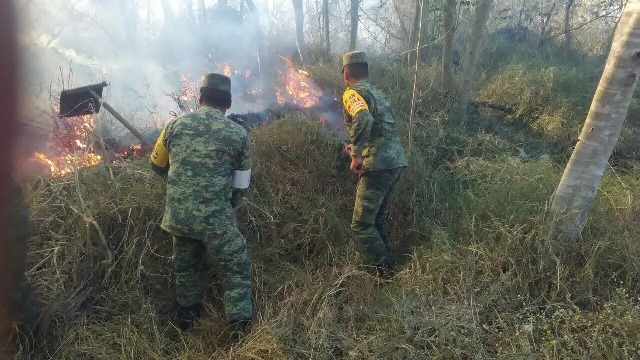 Militares combaten incendio forestal en Yucatán (Sedena)