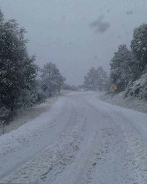 Tormenta invernal provoca nevadas en el norte y sureste de Sonora