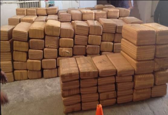 La Policía Federal asegura más de mil 700 kg de marihuana ocultos en doble fondo de camión. (Twitter@PoliciaFedMx)