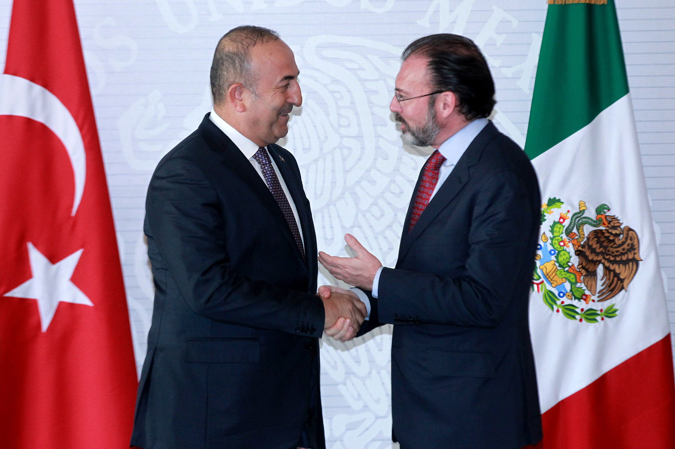 El canciller mexicano Luis Videgaray ofreció un mensaje conjunto con el primer ministro de asuntos exteriores de Turquía Mevlut Cavusoglu (Notimex)