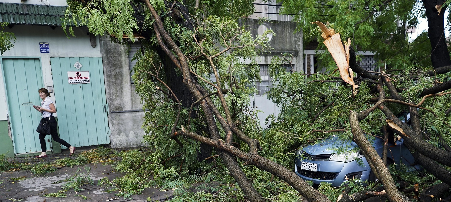 Un automóvil permanece cubierto por un árbol caído en Montevideo, Uruguay, debido al viento que ha generado destrozos en la ciudad (AP)