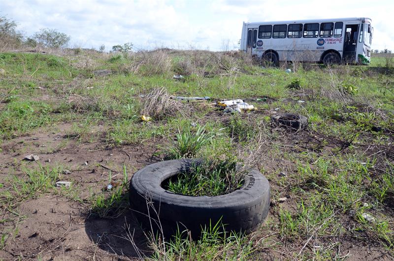 Zona donde elementos de la Fiscalía de Veracruz encontraron más de 250 cráneos humanos, de acuerdo con investigaciones de la Policía Federal e integrantes del Colectivo Solecito, en el predio Colinas de Santa Fe, en Veracruz. (EFE)