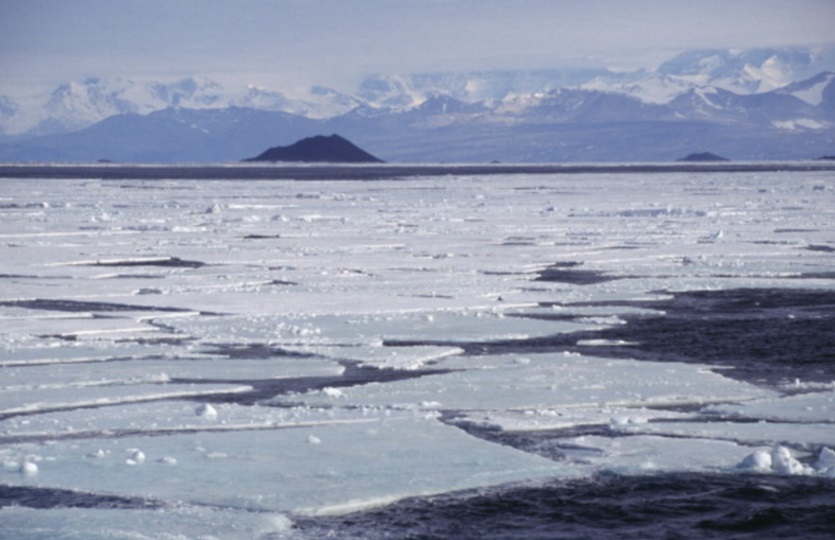 El Niño provoca pérdida de hielo en la Antártida, dice estudio