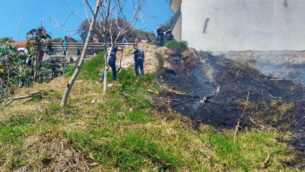 Bomberos de Xalapa, Veracruz, combaten incendio de pastizal (Twitter @HCBXOFICIAL)