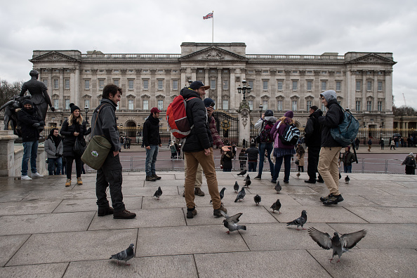 Turistas alimentan a las palomas frente al palacio de Buckingham (Getty Images, archivo)