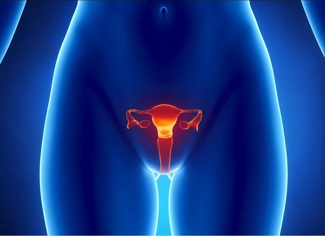 La menstruación irregular aumenta riesgo de padecer cáncer de ovario