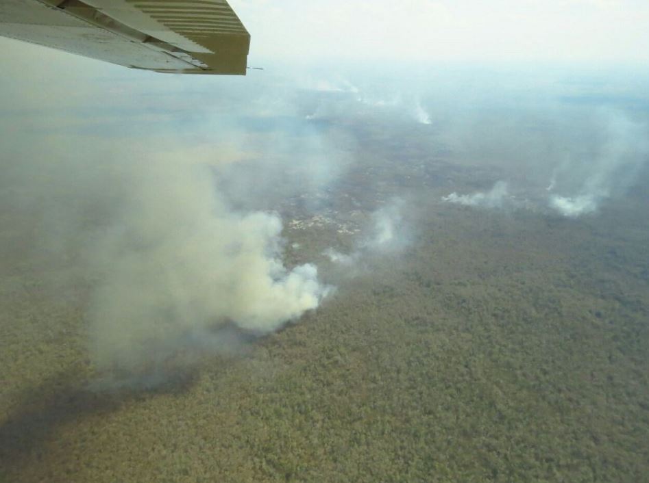 Los incendios se localizan en la llamada zona de amortiguamiento de la Reserva de la Biósfera de Calakmul (Twitter/@CONAFOR)