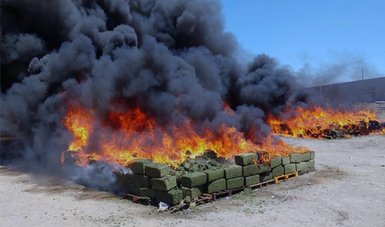 Incineran nueve toneladas de diversas drogas en Jalisco
