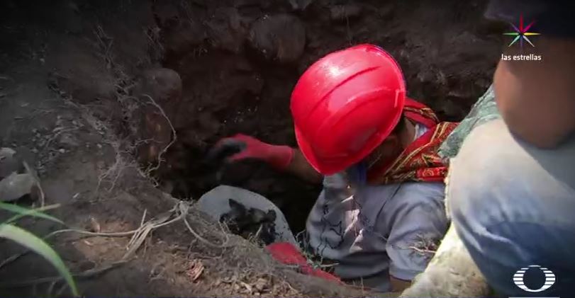 Excavación en fosa de Veracruz (Noticieros Televisa)