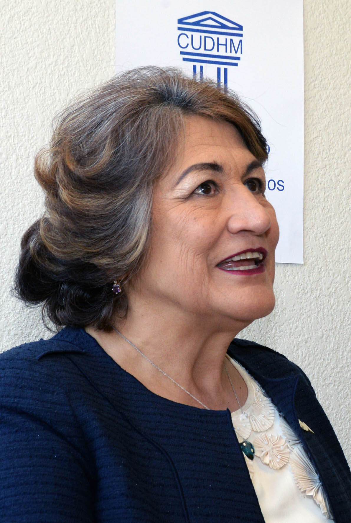 Gloria Ramírez Hernández, titular de la Cátedra UNESCO de Derechos Humanos de la UNAM y académica de Facultad de Ciencias Políticas y Sociales. (UNAM)