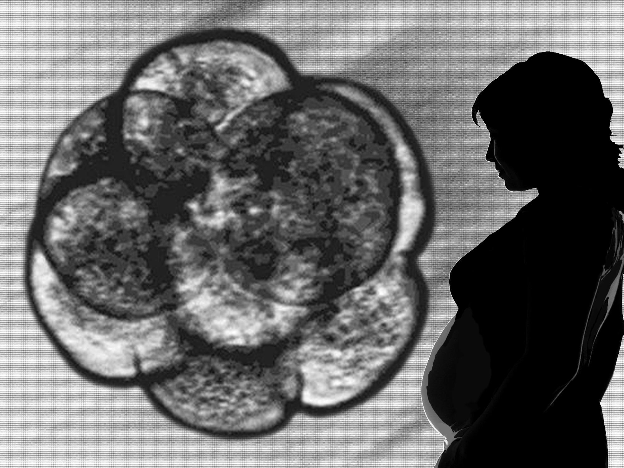 Gráfica de un embrión junto a la silueta de una mujer embarazada (AP, archivo)