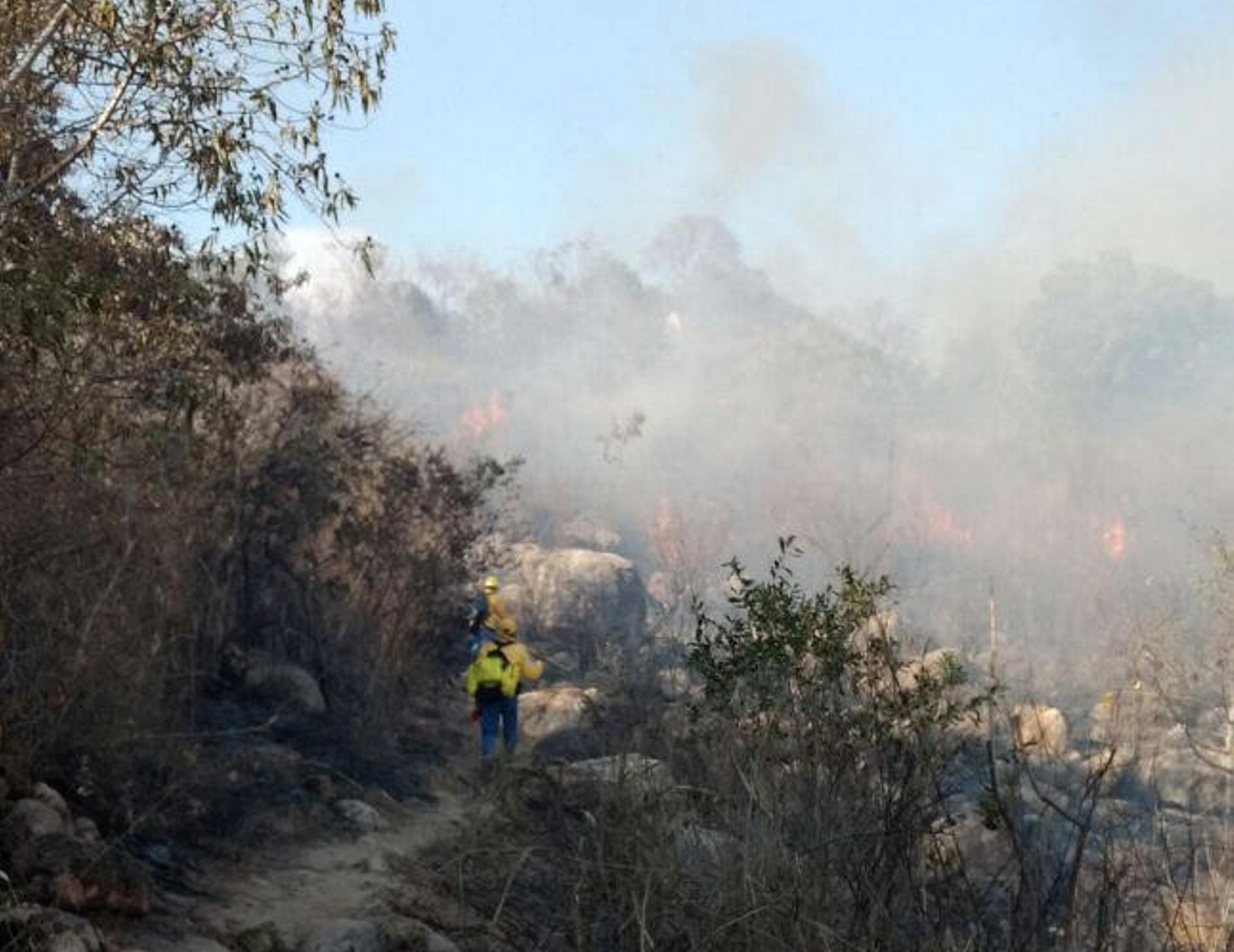 Autoridades en Acapulco atienden incendio en el Parque Nacional El Veladero; la temporada de incendios forestales en México abarca nueve meses (NTX, archivo)