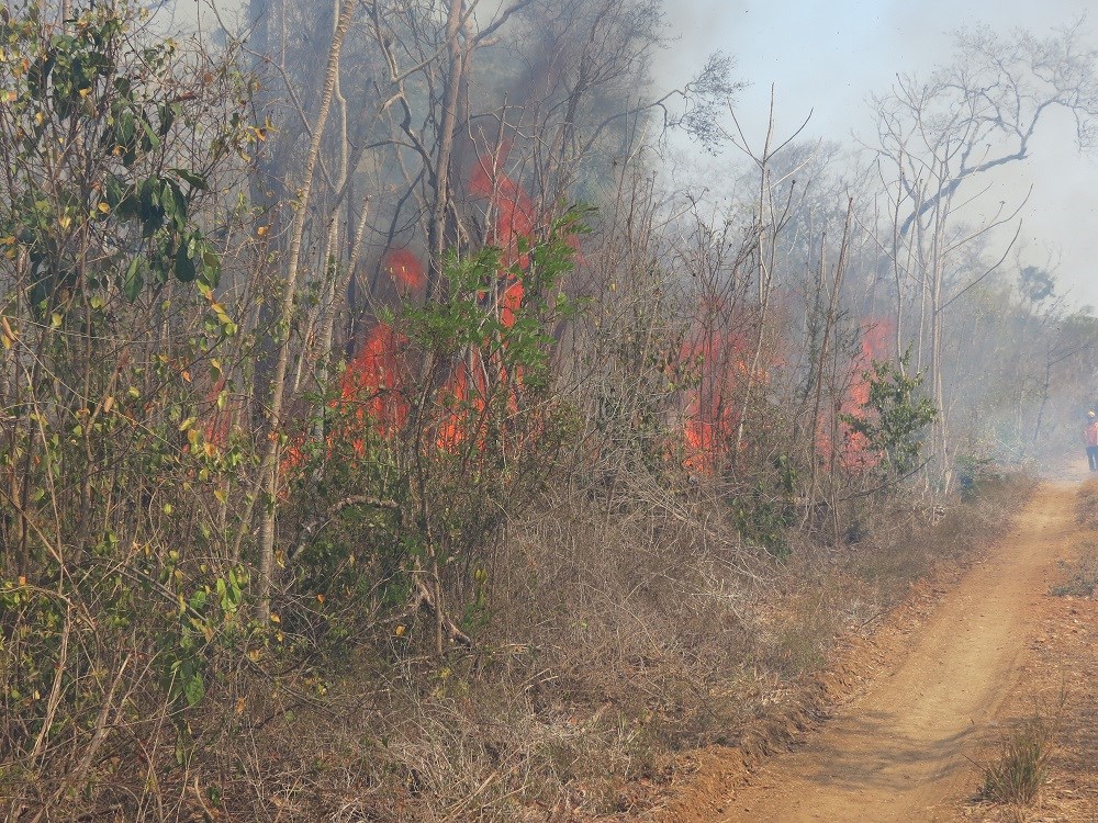 Un grupo de 82 personas trabajan para sofocar dos incendios activos en la comunidad de Chanchen y Xmabén. .