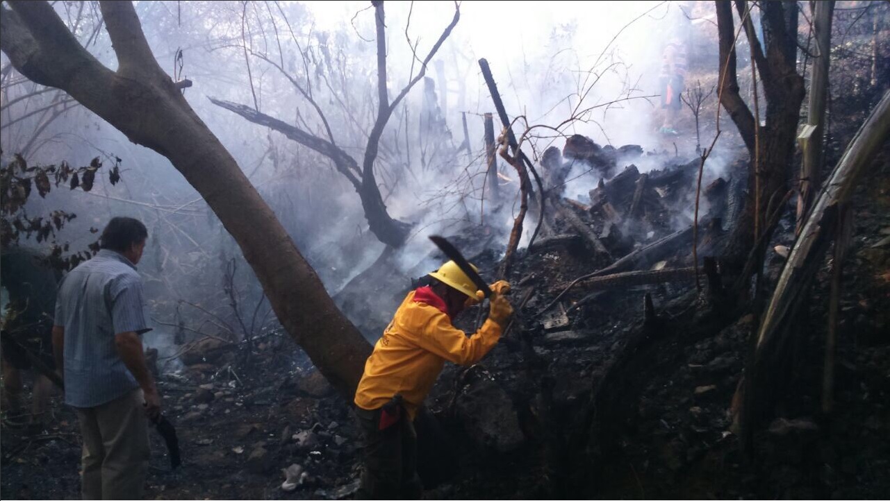 Bomberos atienden incendios forestales en Morelos (Twitter @GobiernoMorelos)