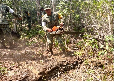 Militares apoyan en los trabajos de extinción de un incendio forestal en Isla Mujeres, Quintana Roo (Sedena)