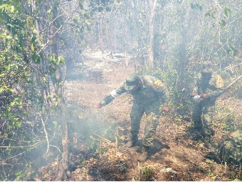 Militares apoyan en los trabajos de extinción de un incendio forestal en Isla Mujeres, Quintana Roo (Sedena)