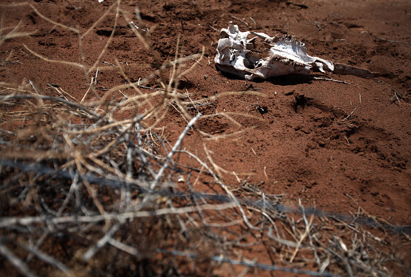En condiciones de sequía extrema, 75% de los municipios de Sonora