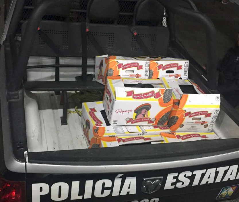 Ejército decomisa 120 kilos de droga en cargamento de papayas en Sonora