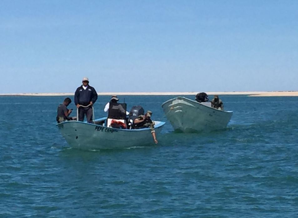 Semar y Gendarmería aseguran dos embarcaciones por pesca ilegal en Baja California