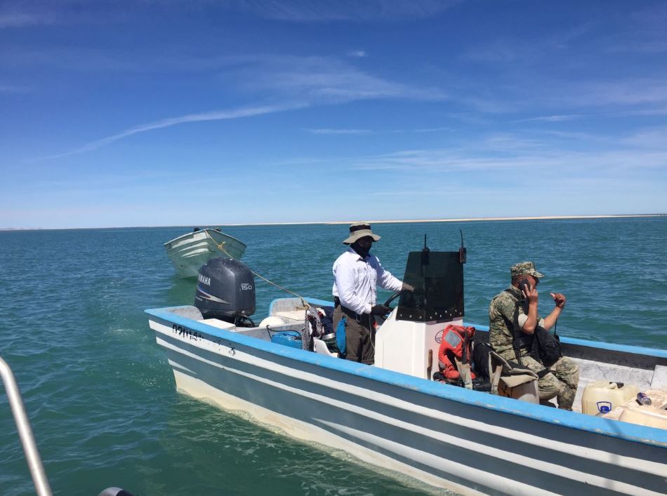 Semar y Gendarmería aseguran dos embarcaciones por pesca ilegal en Baja California