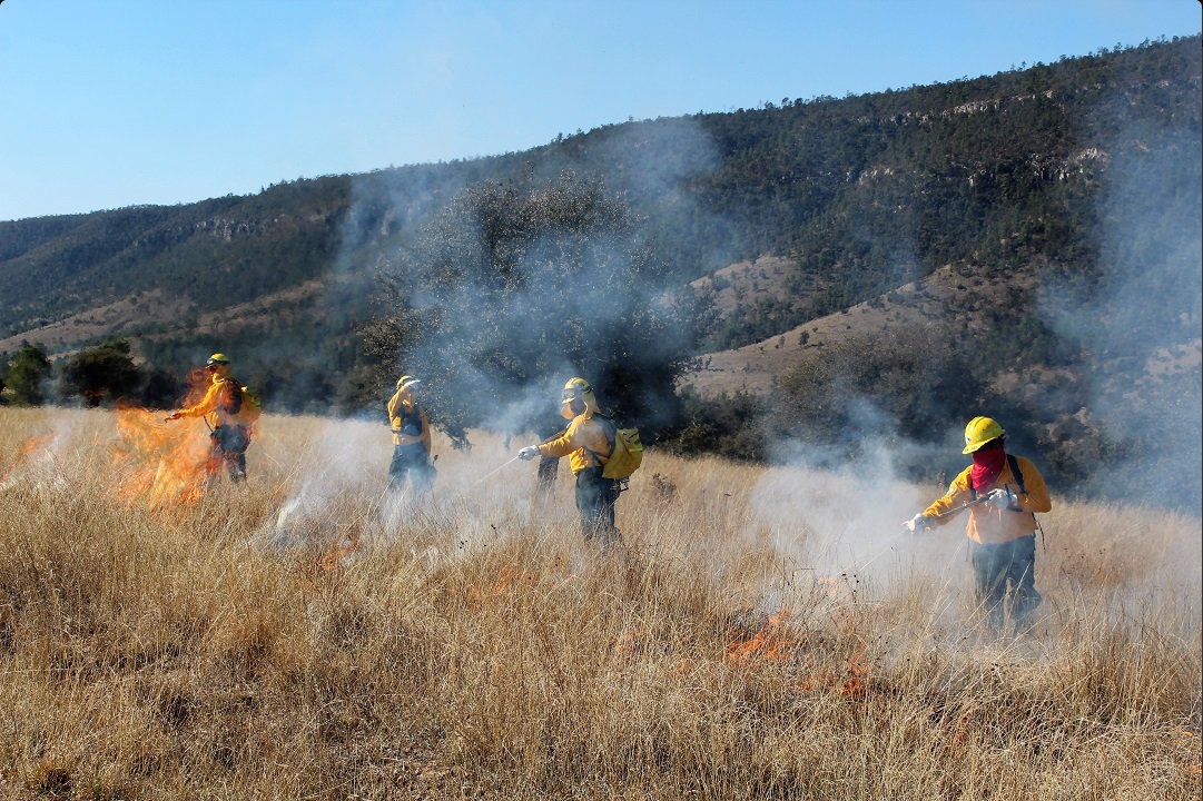 Realizan quema controlada en bosques de Durango; miles de incendios han afectado más de 26 mil hectáreas en México en el 2017( Twitter @CONAFOR)
