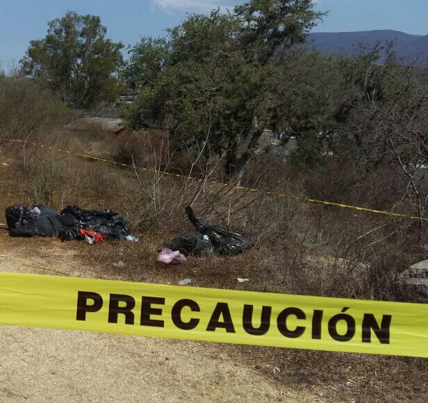 Bolsas con restos humanos son hallados en un camino de terracería que va de la cabecera municipal de Chilapa a la localidad de Xulchuchuio (Noticieros Televisa)