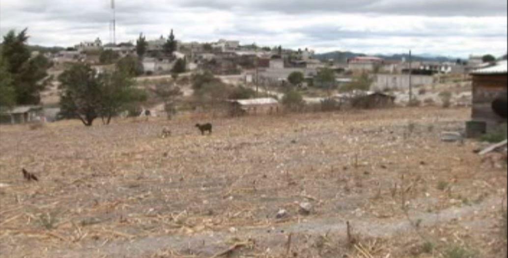 Sequía afecta a campesinos de San Luis Potosí.