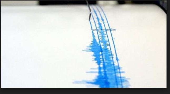 El Ministerio de Medio Ambiente y Recursos Naturales (MARN) detalló que el sismo se situó en la localidad de Antiguo Cuscatlán.