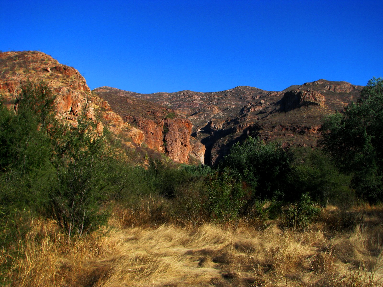 Sonora es un laboratorio natural para geólogos; cuenta con rocas de todas las eras (NTX, archivo)