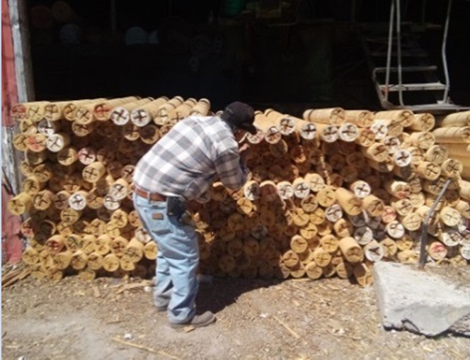 Profepa asegura madera en San Juanito, Chihuahua; los dueños no pudieron acreditar la procedencia legal de la materia prima (Profepa)